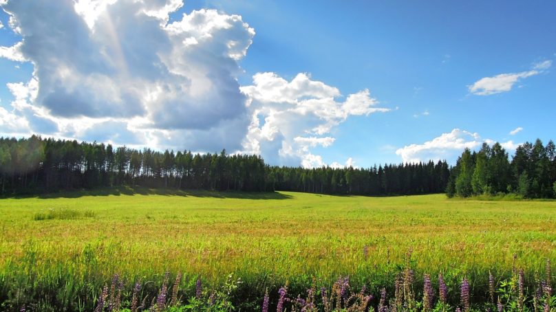 Bioenergia – muutakin kuin puun polttamista?