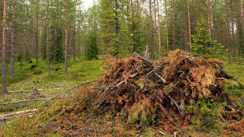 Sampo Soimakallio: Avaimia metsien käytön ilmastovaikutusten ymmärtämiseen